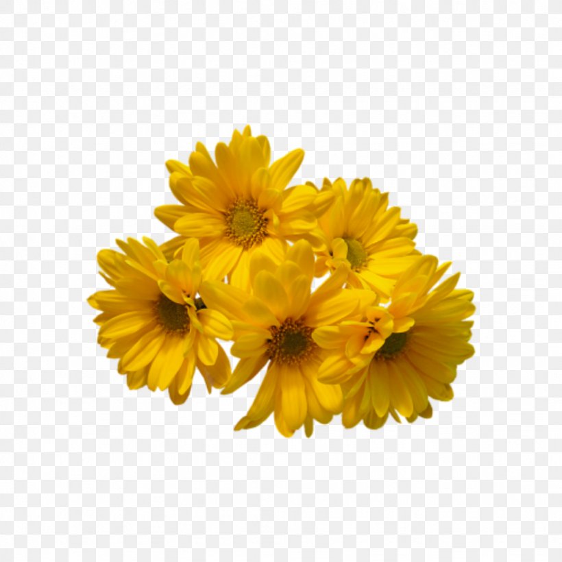 Flower Bouquet Clip Art Cut Flowers Yellow, PNG, 1024x1024px, Flower, Black, Blue, Calendula, Chrysanths Download Free