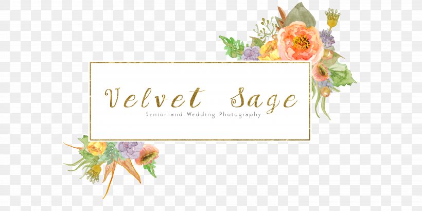 Petal Logo Greeting & Note Cards Floral Design, PNG, 6000x3000px, Petal, Floral Design, Flower, Greeting, Greeting Card Download Free