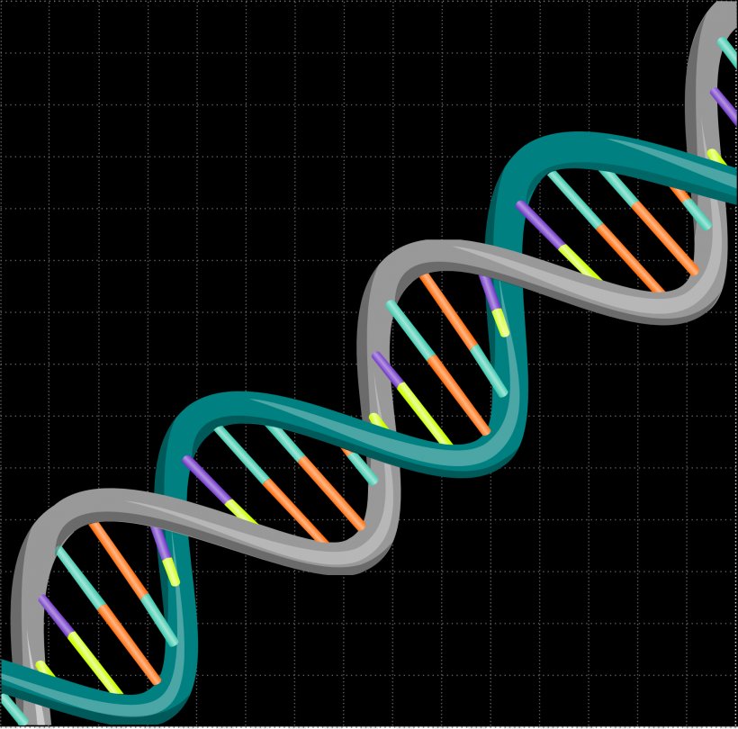 The Double Helix: A Personal Account Of The Discovery Of The Structure Of DNA Nucleic Acid Double Helix DNA Replication Base Pair, PNG, 1969x1947px, Dna, Adenine, Base Pair, Biology, Dna Replication Download Free