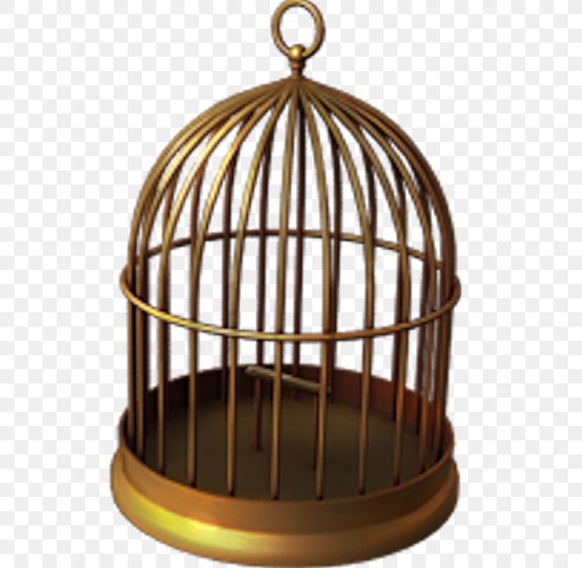 Birdcage Birdcage Parrot, PNG, 800x800px, Bird, Birdcage, Cage, Editing, Image Editing Download Free