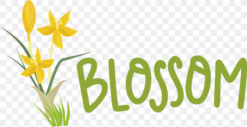 Floral Design, PNG, 6111x3162px, Grasses, Commodity, Floral Design, Happiness, Leaf Download Free