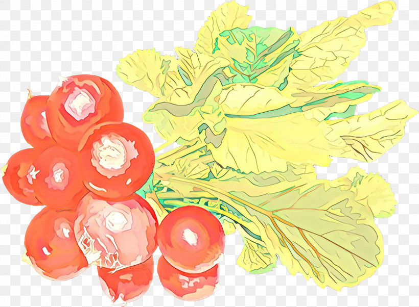Fruit Grape Plant Food Vitis, PNG, 3000x2206px, Fruit, Berry, Currant, Food, Grape Download Free