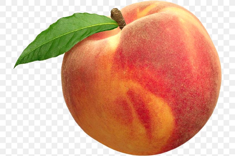 Palisade Nectarine Drupe Apricot Fruit, PNG, 730x546px, Palisade, Apple, Apricot, Cherry, Drupe Download Free
