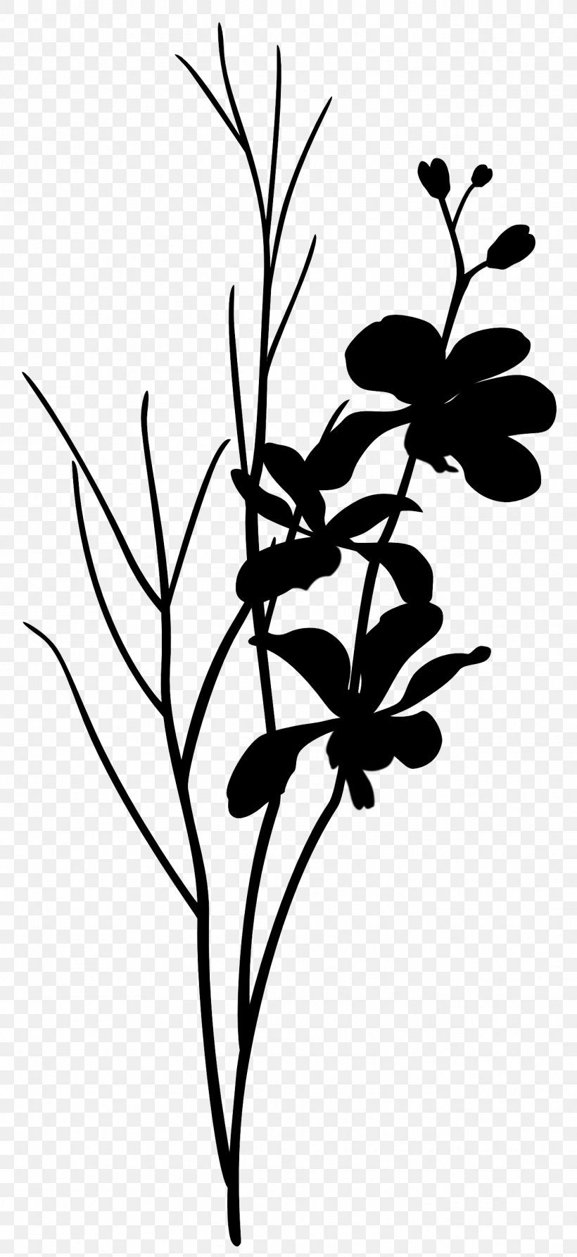 Twig Plant Stem Leaf Clip Art Silhouette, PNG, 1348x2936px, Twig, Blackandwhite, Botany, Branch, Flower Download Free