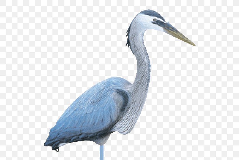 Bird Great Blue Heron Great Egret Decoy Hunting, PNG, 550x550px, Bird, Beak, Ciconiiformes, Crow, Decoy Download Free