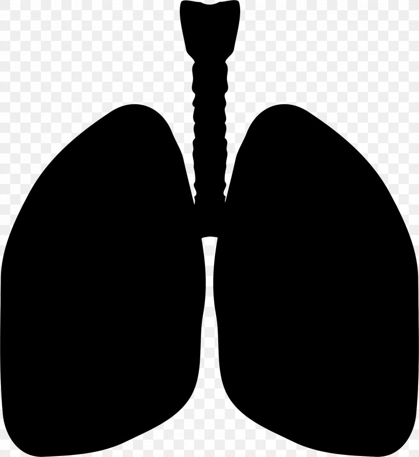 Clip Art Lung Silhouette Vector Graphics, PNG, 2116x2308px, Lung, Black,  Blackandwhite, Drawing, Medicine Download Free