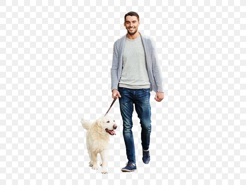 Dogo Argentino Architectural Rendering, PNG, 407x619px, Dogo Argentino, Architectural Rendering, Architecture, Cat People And Dog People, Clipping Path Download Free