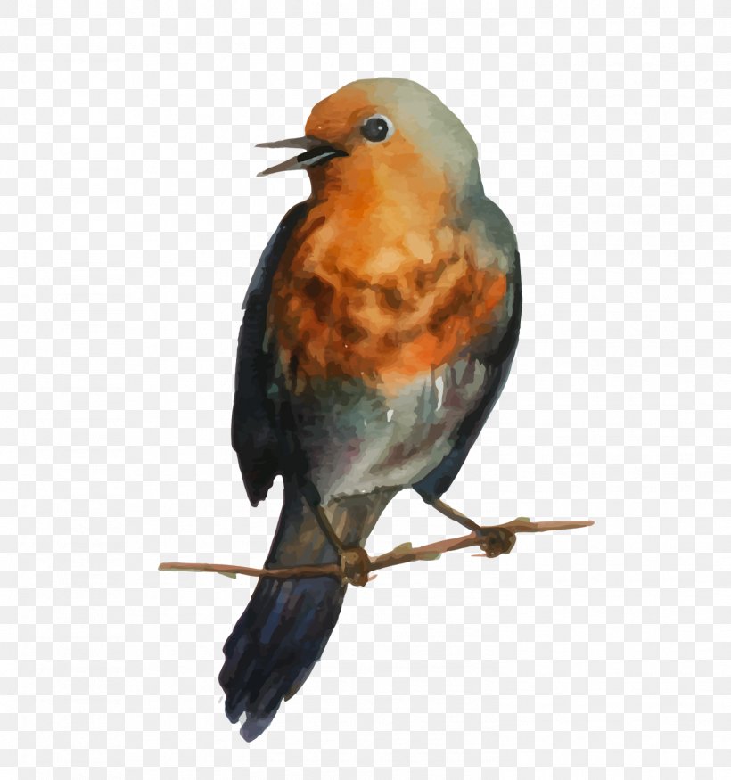 European Robin Bird Drawing Paper, PNG, 1498x1600px, European Robin, Beak, Bird, Birds, Drawing Download Free