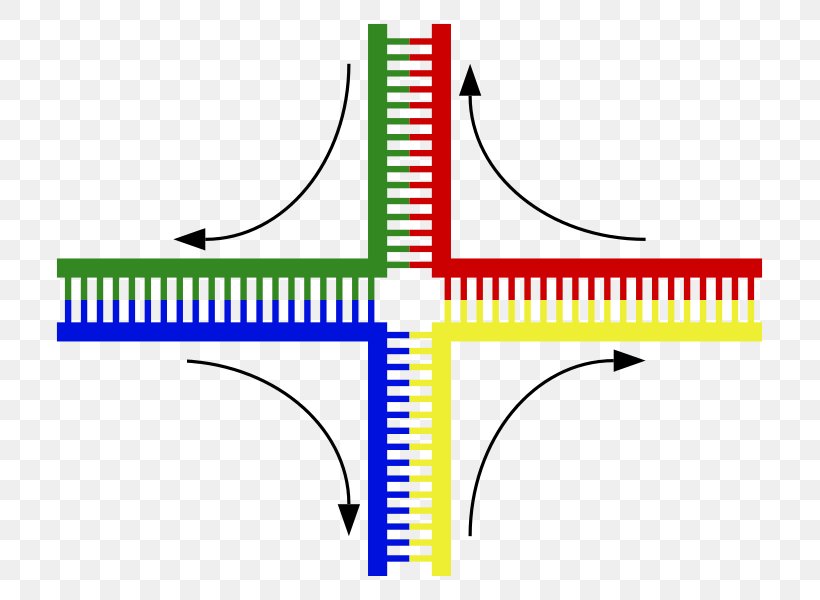 Holliday Junction DNA Nanotechnology Chromosomal Crossover Genetic Recombination, PNG, 753x600px, Dna, Area, Biology, Cell, Chromosomal Crossover Download Free