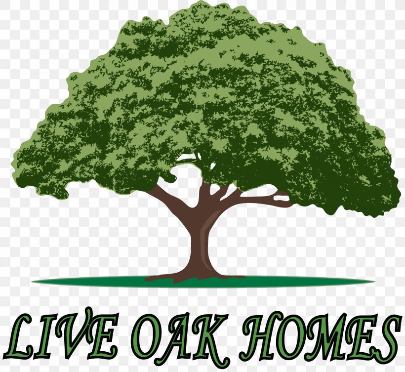 Live Oak Homes Live Oak Homes Mobile Home Waycross, PNG, 2023x1859px, Live Oak, Building, Crestview, Custom Home, Floor Plan Download Free
