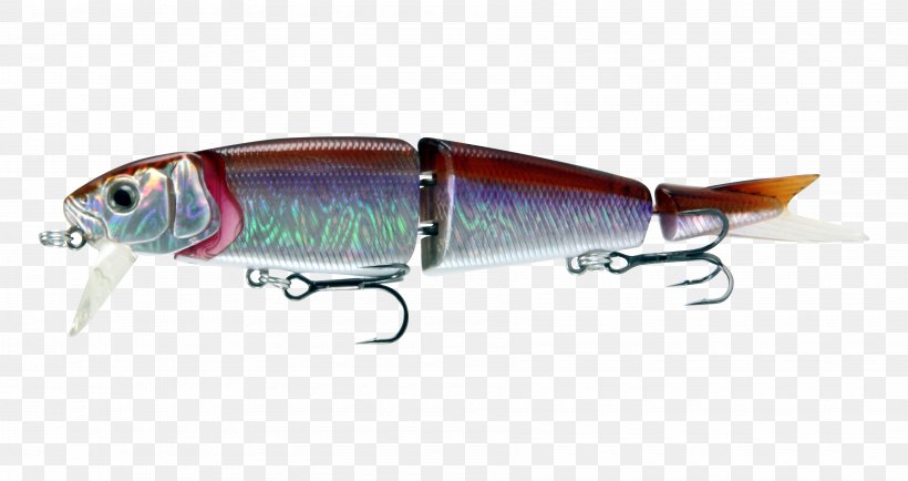 Sardine Spoon Lure Herring Oily Fish Fishing, PNG, 3600x1908px, Sardine, Bait, Bony Fish, Fish, Fishing Download Free