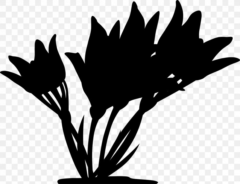 Clip Art Free Content Crocus Flowering Plant Plants, PNG, 2400x1843px, Crocus, Blackandwhite, Botany, Branching, Flower Download Free