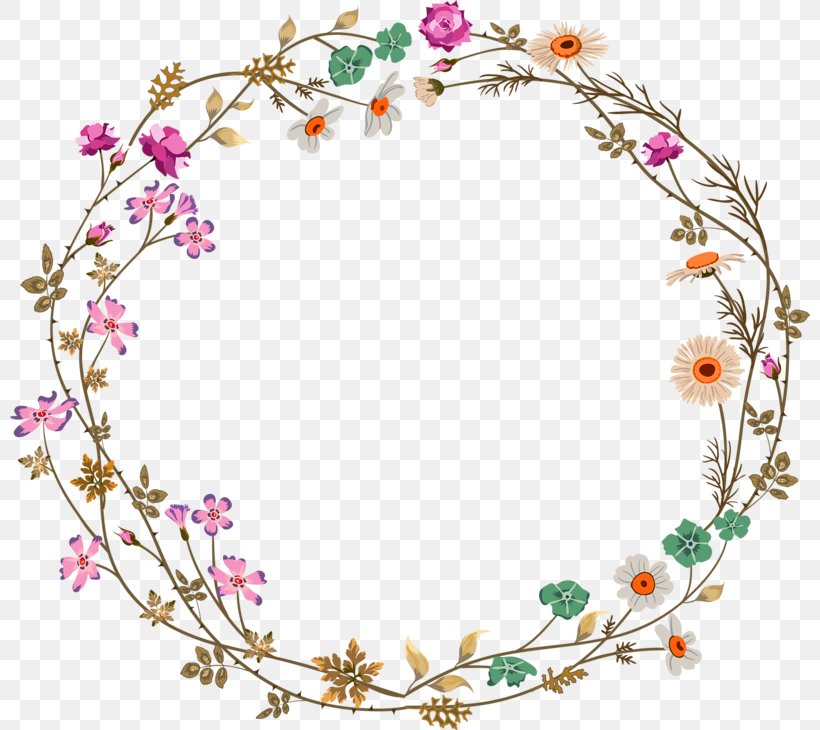 Colorful Simplicity Flower Vine Circle Border Texture, PNG, 800x730px, Flower, Area, Brave, Collage, Color Download Free