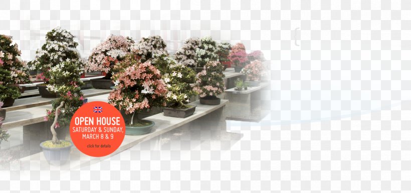Indoor Bonsai Flowerpot Hoka-en Bonsai Studio Tree, PNG, 1199x563px, Bonsai, Address, Dutch, Flower, Flowerpot Download Free