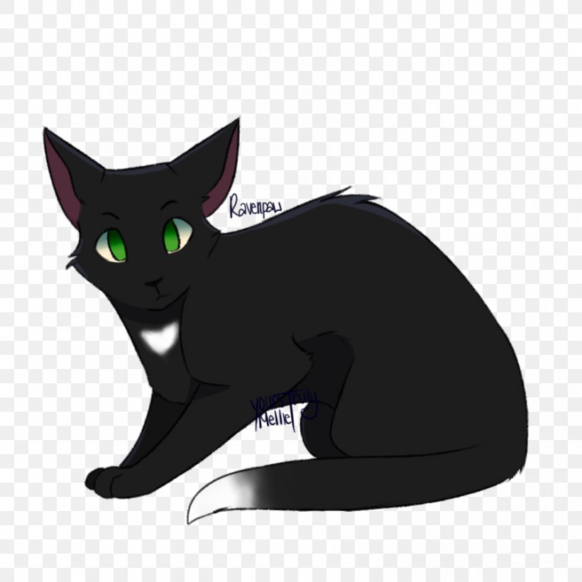 Kitten Black Cat Korat Domestic Short-haired Cat Whiskers, PNG, 894x894px, Kitten, Art, Black Cat, Carnivoran, Cat Download Free