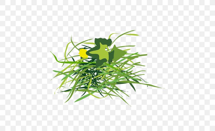 Luxembourg City Garden Asparagus Leaf Vegetable Waste Plant Stem, PNG, 500x500px, Luxembourg City, Aquarium Decor, Asparagus, Branch, Flower Download Free