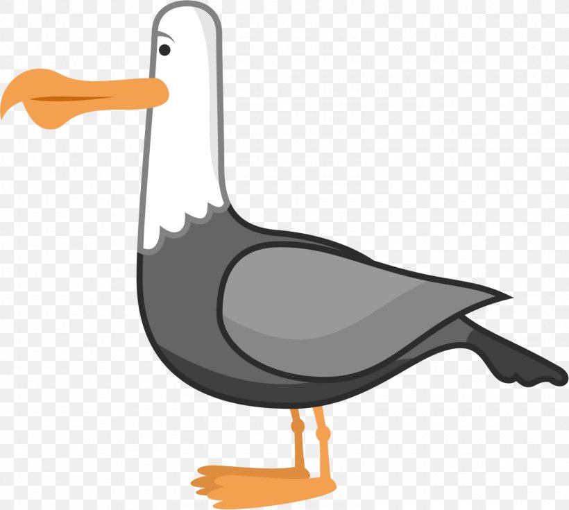 Nemo Gulls Drawing Clip Art, PNG, 1600x1435px, Nemo, Andrew Stanton, Art, Beak, Bird Download Free