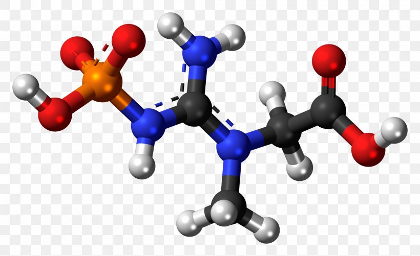 Phosphocreatine Molecule 1,3-Bisphosphoglyceric Acid Chemical Compound, PNG, 2000x1222px, Creatine, Adenosine Triphosphate, Body Jewelry, Chemical Compound, Chemical Substance Download Free