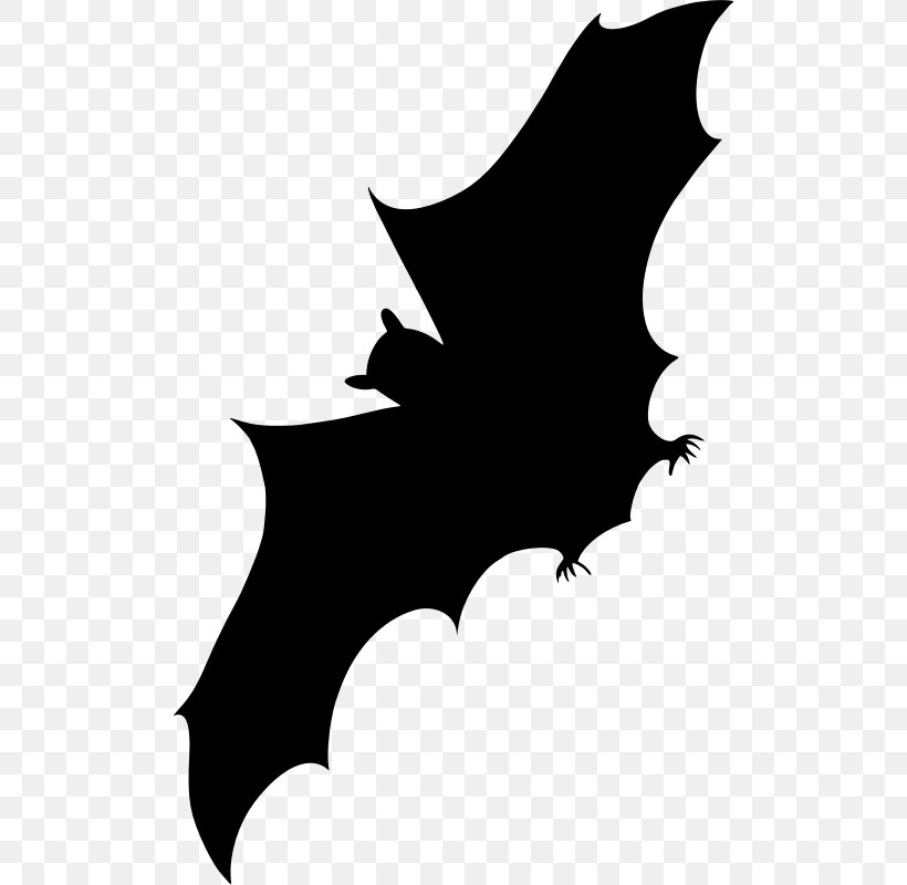 Bat Silhouette Clip Art, PNG, 508x800px, Bat, Art, Beak, Black And White, Branch Download Free