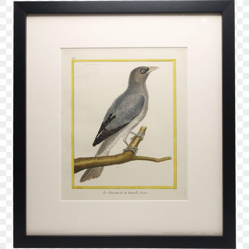 Beak Painting Picture Frames Feather, PNG, 1898x1898px, Beak, Bird, Fauna, Feather, Painting Download Free