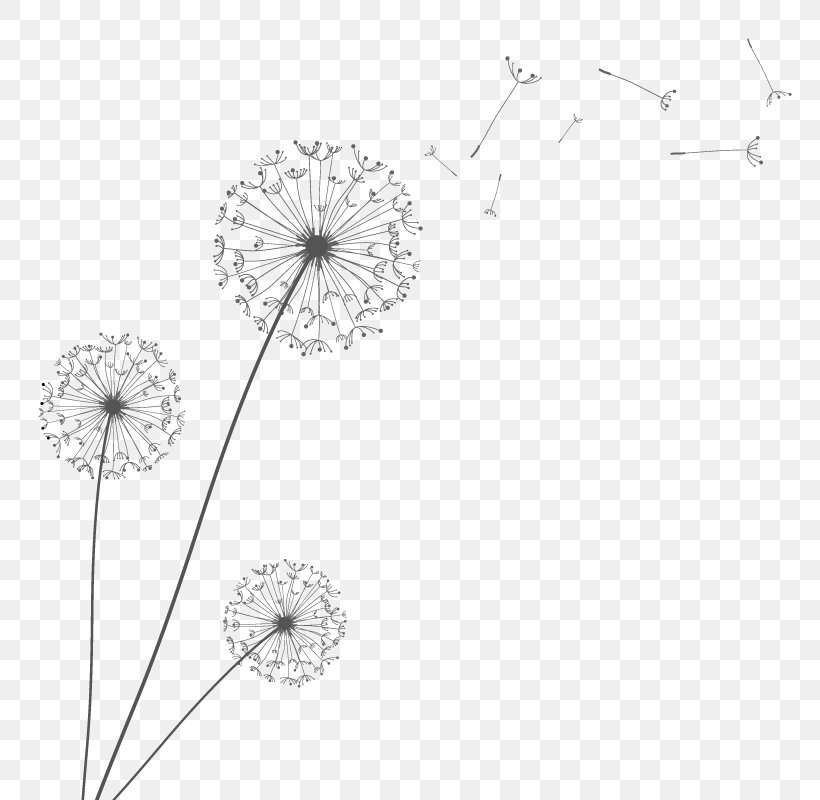Euclidean Vector Dandelion, PNG, 800x800px, Dandelion, Area, Black And White, Body Jewelry, Flower Download Free