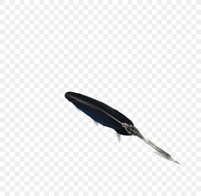Feather Fountain Pen Quill, PNG, 800x800px, Feather, Ballpoint Pen, Fountain Pen, Gratis, Inkwell Download Free