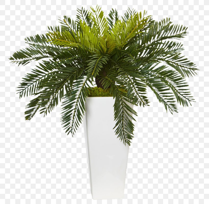 Flowerpot Houseplant Sago Palm Leaf, PNG, 800x800px, Flowerpot, Arecales, Artificial Flower, Branch, Cordyline Download Free