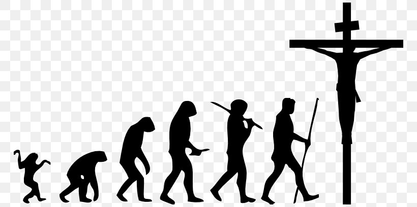 March Of Progress Ape Homo Sapiens Human Evolution, PNG, 776x408px, March Of Progress, Ape, Biology, Bipedalism, Black Download Free
