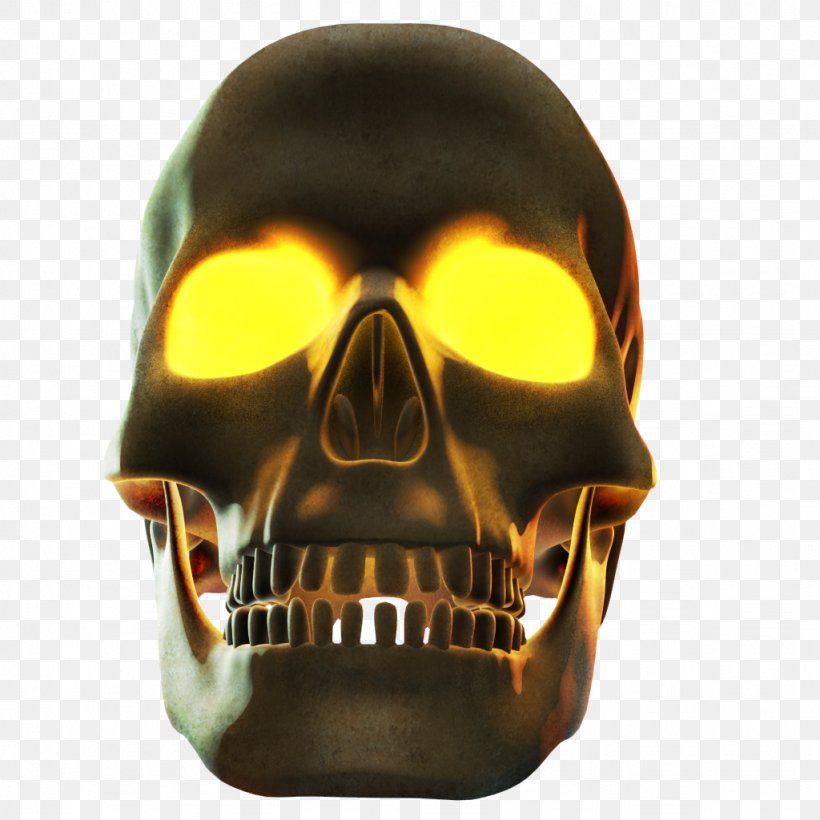 Skull, PNG, 1024x1024px, Skull, Bone, Jaw Download Free