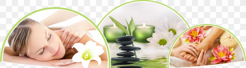 Amrita Spa Beauty Parlour Massage Pedicure, PNG, 1200x333px, Spa, Beauty Parlour, Child, Cosmetics, Day Spa Download Free