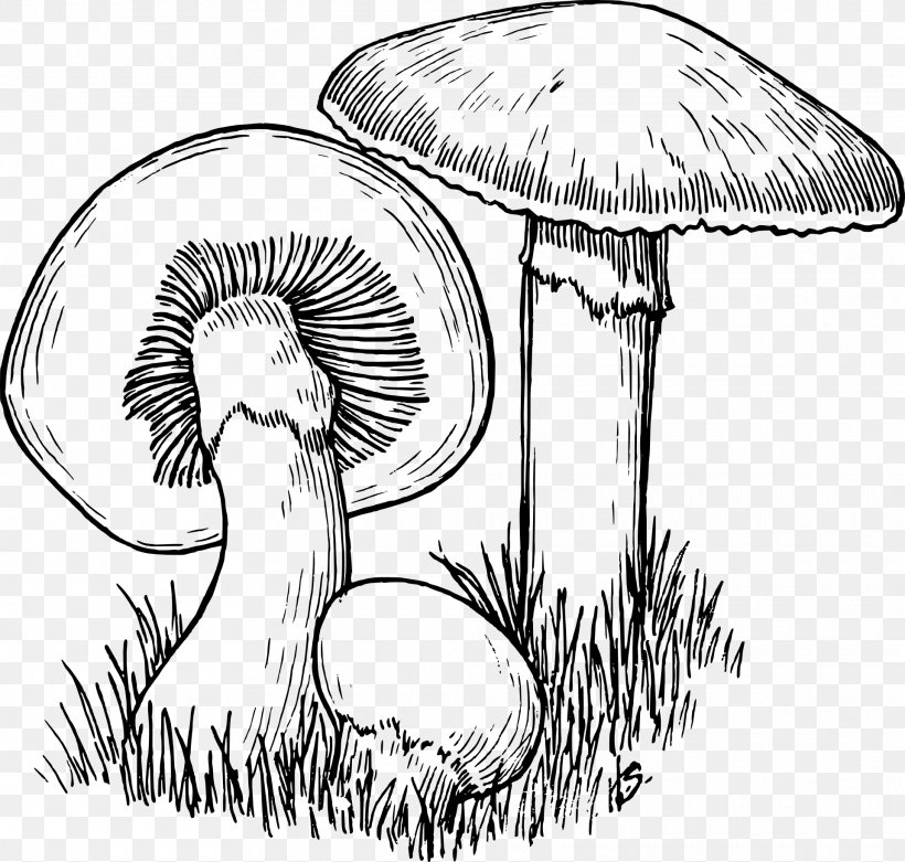 Mushroom Hunting Drawing Line Art, PNG, 1920x1830px, Mushroom, Art, Artwork, Black And White, Coloring Book Download Free