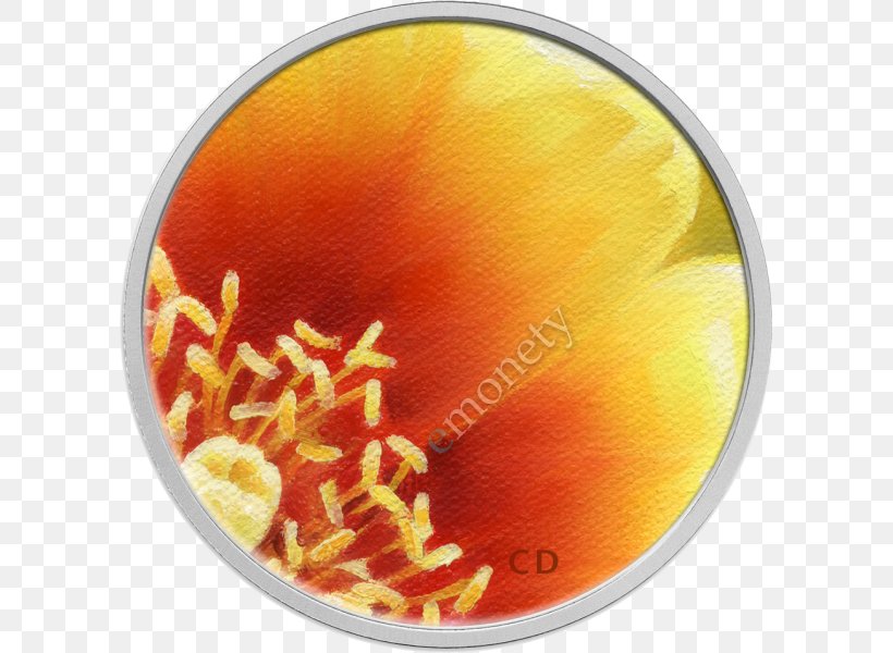 Eastern Prickly Pear Cactaceae Quarter Coin Cent, PNG, 600x600px, Eastern Prickly Pear, Cactaceae, Cent, Coin, Orange Download Free