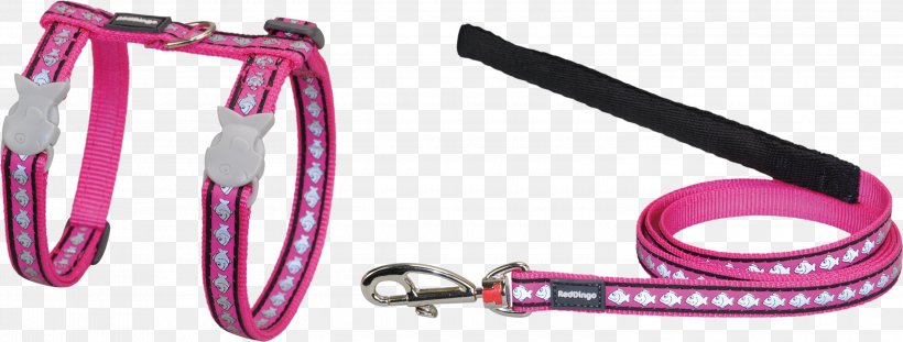 Leash Cat Dog Collar Dog Harness, PNG, 3000x1138px, Leash, Cat, Collar, Dingo, Dog Download Free