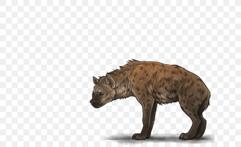 Lion Spotted Hyena, PNG, 640x500px, Hyena, Animal, Big Cats, Carnivoran, Cat Like Mammal Download Free
