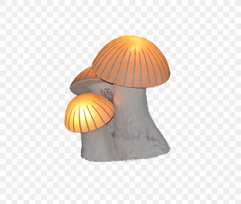 Mushroom Lighting, PNG, 900x762px, Mushroom, Lighting, Orange Download Free