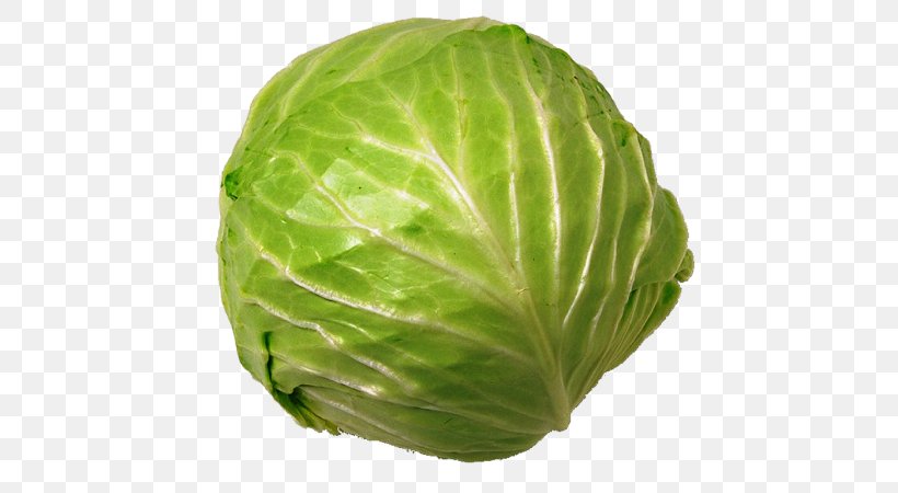 Vegetable Cauliflower Cabbage Food Juice, PNG, 600x450px, Vegetable, Cabbage, Cauliflower, Chutney, Collard Greens Download Free