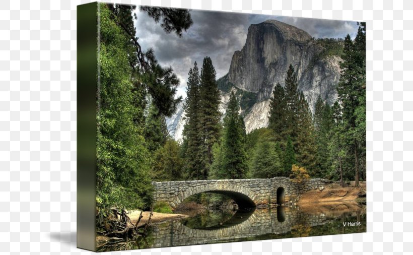 National Park Half Dome Gallery Wrap Landscape Canvas, PNG, 650x506px, National Park, Art, Canvas, Forest, Gallery Wrap Download Free