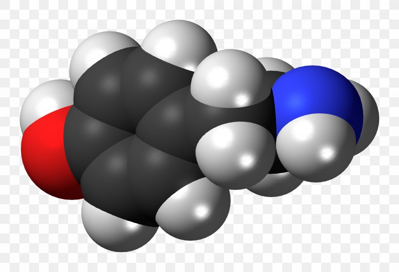 Norepinephrine Dopamine ADRENALINE USA VOLLEYBALL Hormone, PNG, 2000x1364px, Norepinephrine, Adrenal Fatigue, Adrenaline, Brain, Dopamine Download Free