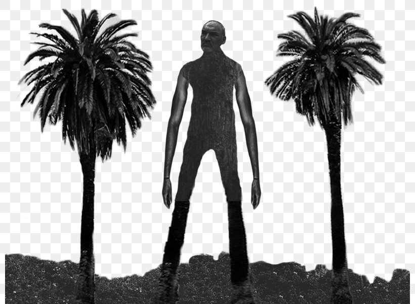 Popular Culture Dalaketnon Aswang Danag, PNG, 800x600px, Culture, Arecaceae, Arecales, Aswang, Black And White Download Free