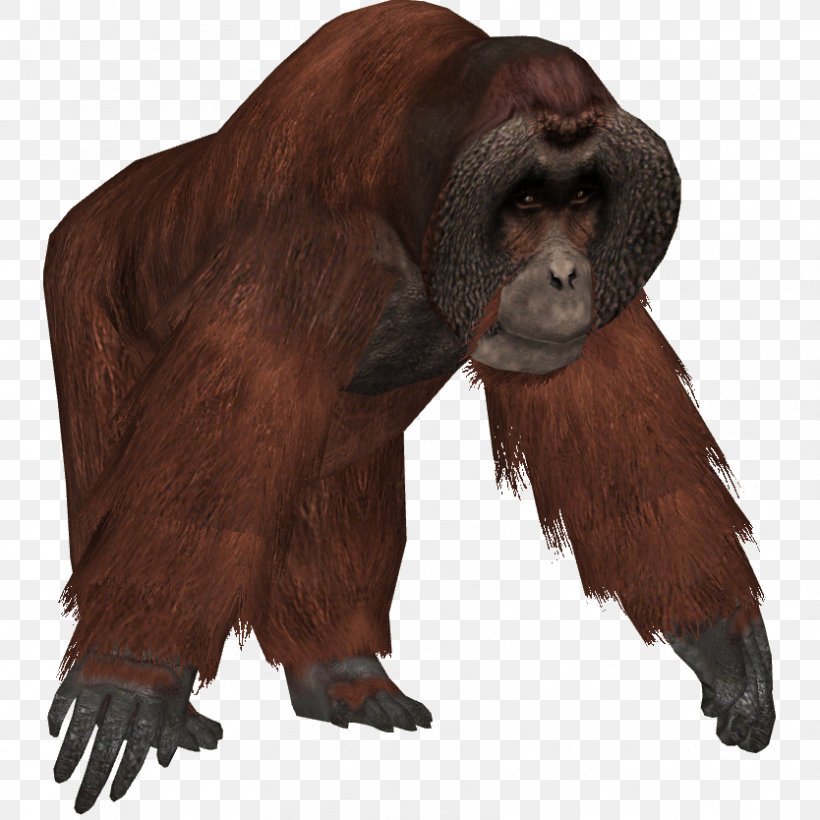 Zoo Tycoon 2 Common Chimpanzee Western Gorilla Bornean Orangutan, PNG, 834x834px, Zoo Tycoon 2, Animal, Ape, Bornean Orangutan, Chimpanzee Download Free