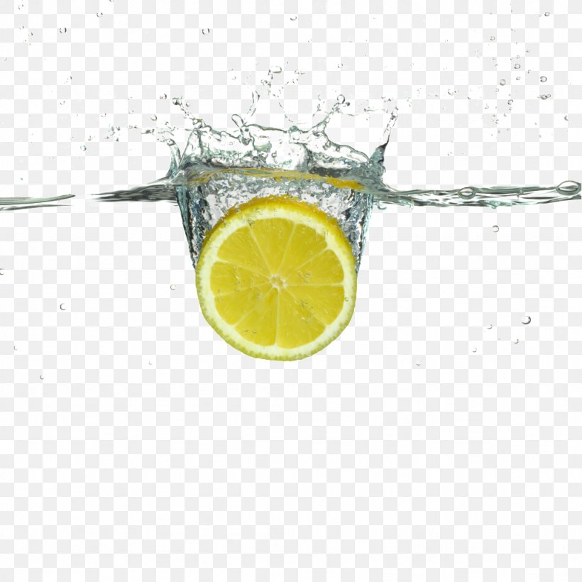 Cranberry Juice Lemon Nutrient Water, PNG, 1024x1024px, Juice, Citric Acid, Citrus, Cranberry Juice, Drink Download Free