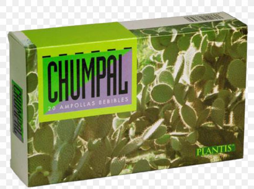 Dietary Supplement Cholesterol Nopal Food Human Digestive System, PNG, 837x624px, Dietary Supplement, Blood, Capsule, Cholesterol, Dieting Download Free