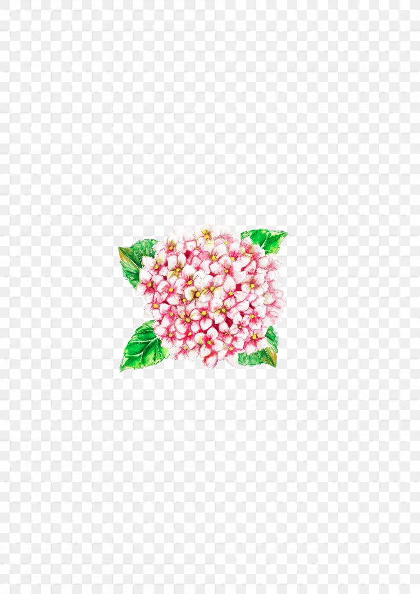 Flower Petal Pink Hydrangea Bird, PNG, 2000x2828px, Flower, Animal, Bird, Blue, Color Download Free