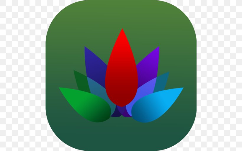 Green Clip Art, PNG, 512x512px, Green, Flower, Leaf, Petal, Symbol Download Free