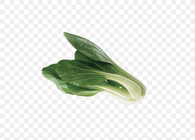 Leaf Vegetable Bok Choy Cabbage, PNG, 591x591px, Leaf Vegetable, Bok Choy, Cabbage, Chinese Cabbage, Gratis Download Free