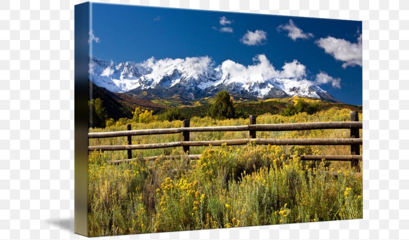 Mount Scenery San Juan Mountains Gallery Wrap National Park Ecosystem, PNG, 650x481px, Mount Scenery, Art, Canvas, Ecosystem, Gallery Wrap Download Free