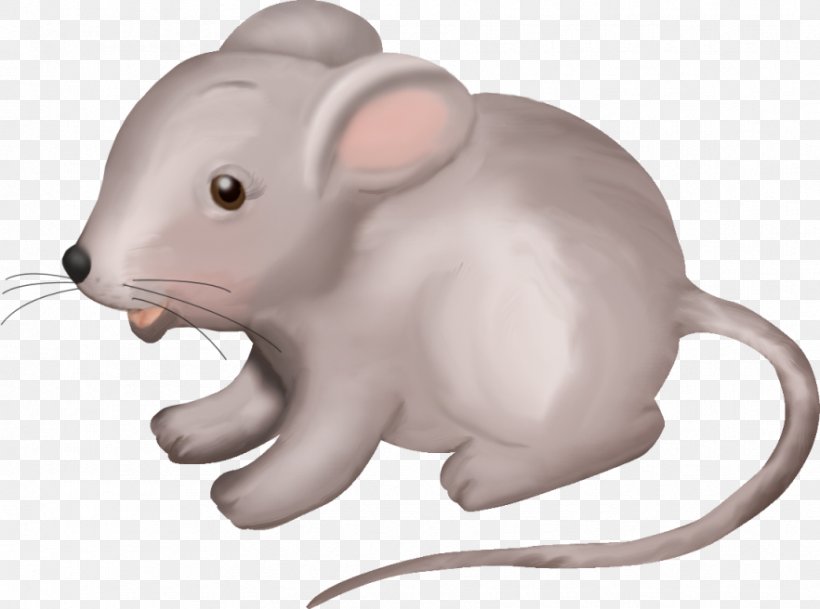 Whiskers Computer Mouse Snout Animal, PNG, 882x656px, Whiskers, Animal, Animal Figure, Computer Mouse, Mammal Download Free