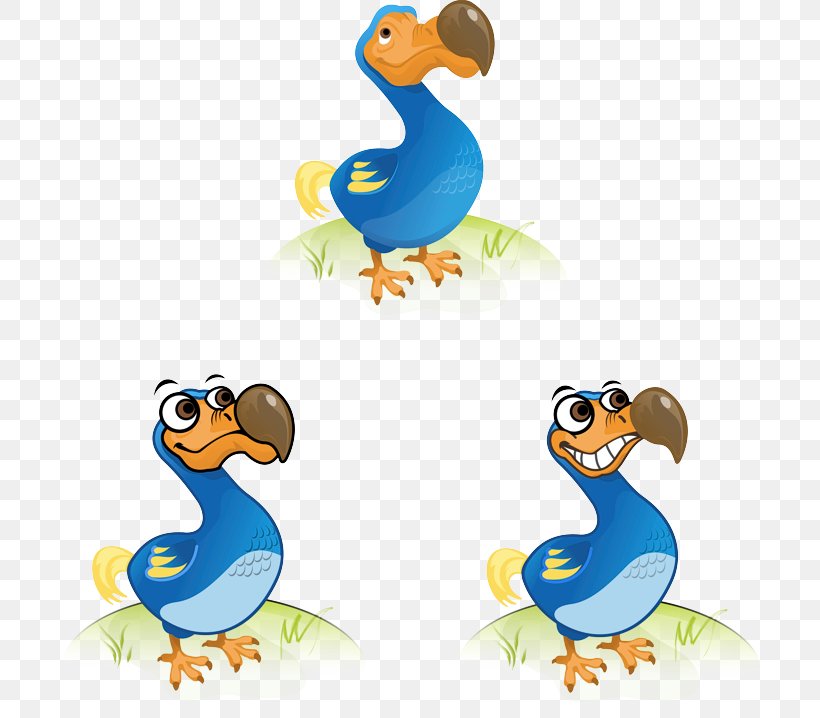Duck Bird Dodo Cygnini Goose, PNG, 700x718px, Duck, Animal Figure, Beak, Bird, Cygnini Download Free