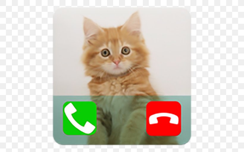 Fake Call Talking Cat Prank Call Telephone Call, PNG, 512x512px, Fake Call, Amazoncom, Android, App Store, Carnivoran Download Free
