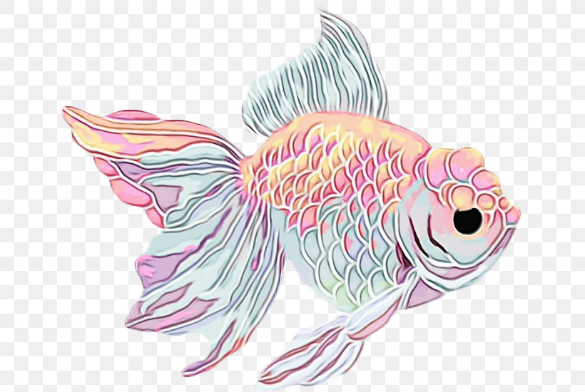 Fish Fish Pink Goldfish Carp, PNG, 648x550px, Watercolor, Carp, Drawing, Fish, Goldfish Download Free
